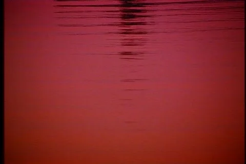 Fisherman on dock at sunset 7 Stock Footage 511168