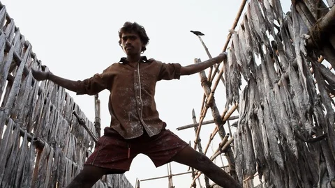 A fisherman drying fish in Mumbai Stock Footage 87286816