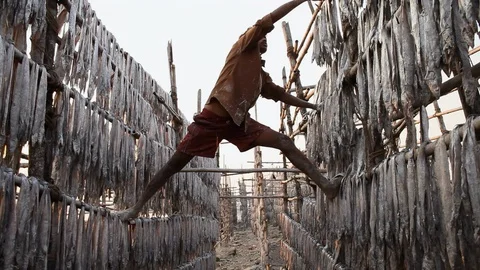 A fisherman is drying fish in Mumbai. Stock Footage 87286818