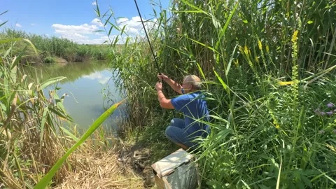 Fisherman an elderly retired man throws a fishing rod, catches fish in a pond. Stock Footage 245107047