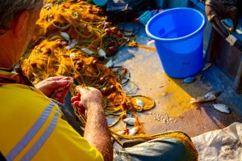 Fisherman is empty fish from net in his small boat Stock Photos