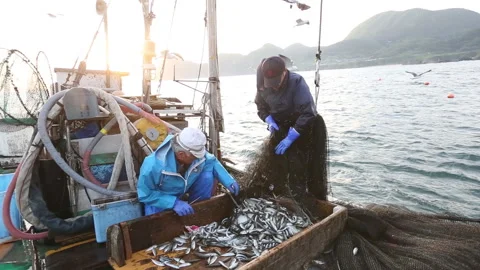 A fisherman with a fisherman sorting a pulled fish Stock Footage 161936483