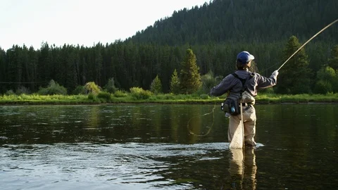 Fisherman Fly Fishing Casting River Wyoming Catching Wild Trout 4K Vídeo Stock 101348945