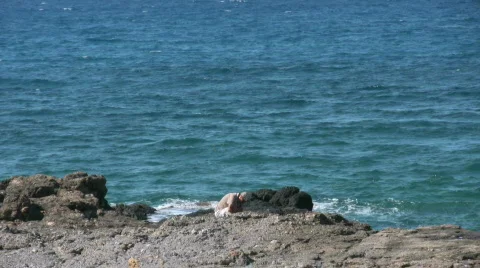 Fisherman Stock Footage 507899