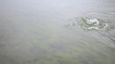 Fisherman Video stock 589625