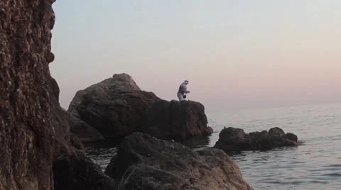 Fisherman 스톡 동영상 51364602