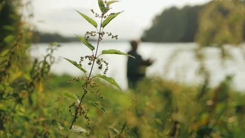 Fisherman. Stock Footage 155848571