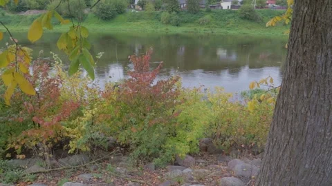 Fisherman Stock-Footage 164335019