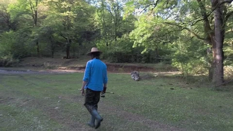 Fisherman in Forest Stock Footage 146558191