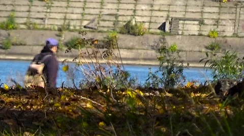 The fisherman goes down to the river Stock Footage 55028770