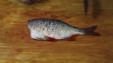 Fisherman hacking a little fish Stock Footage 36005551