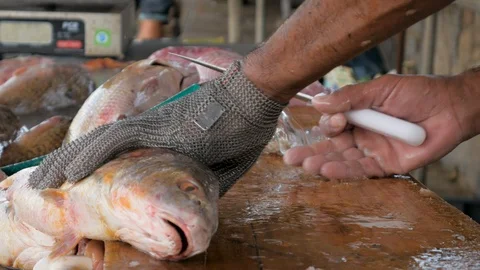 Fisherman hands cutting and cleaning fish for further selling. Freshwater fish. Stock Footage