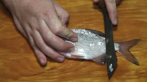 Fisherman hands with knife cleaning bream scales Stock Footage 36005013