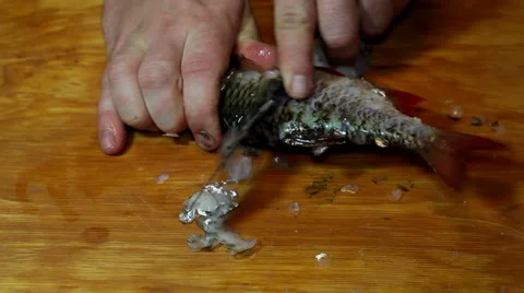 Fisherman hands with knife cleaning fish Stock Footage 36005459