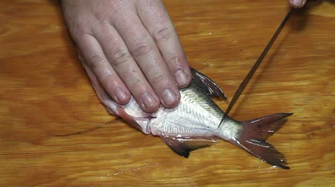 Fisherman hands with knife hacking bream Stock Footage 36005243