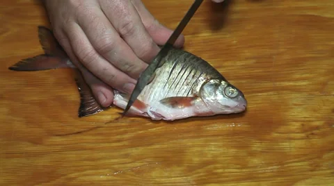 Fisherman hands with knife hacking fish before frying Stock Footage 36005235