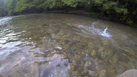 Fisherman hands take away hook from trout fish swims away Stock Footage 101758082
