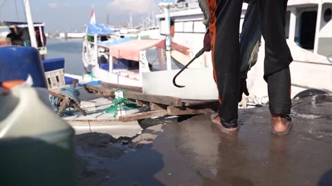 Fisherman in the harbor Video stock 199891130