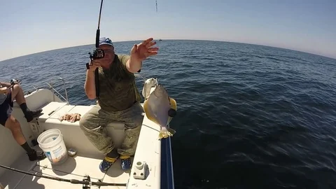 The fisherman has hooked fish. Catching of a flounder. 動画素材 78172254