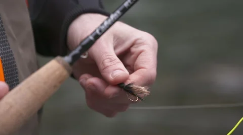 Fisherman holding fly Stock Footage 65067954