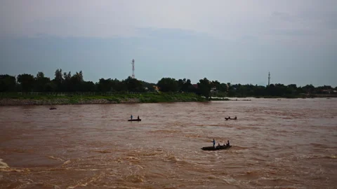 Fisherman Hunting In The River Video stock 253489597