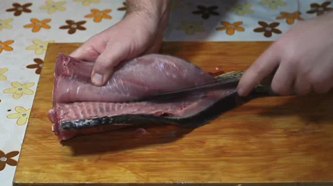 Fisherman making carp fillet Stock Footage 36005397