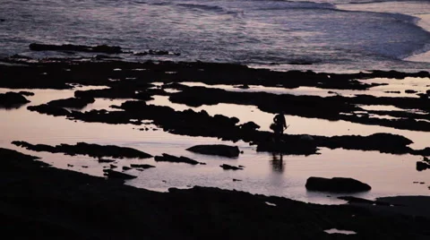 Fisherman in Morocco Stock Footage 49835103