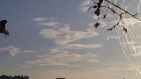 Fisherman net sunset Stock Footage 78638613