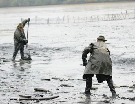 Fisherman 스톡 사진