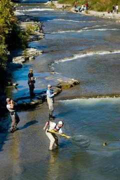 Fisherman Stock Photos