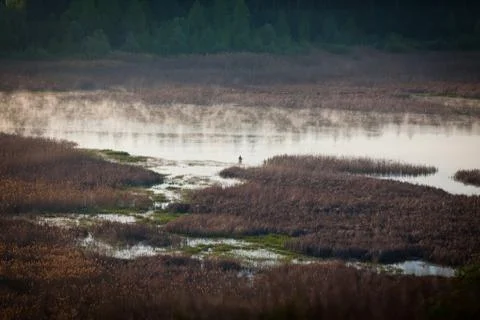 The fisherman Stock Photos