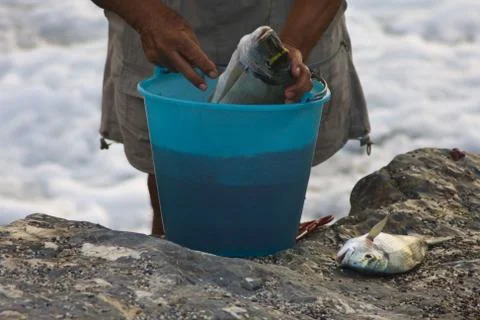 Fisherman Stock Photos