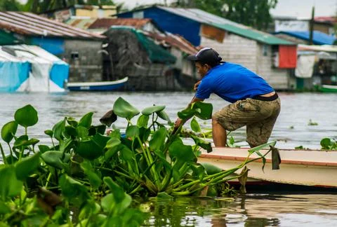 Fisherman Stock Photos