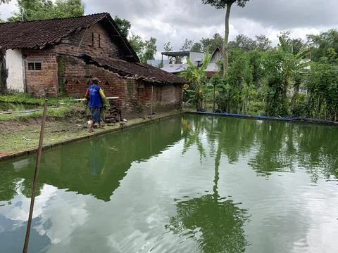 A fisherman 库存照片