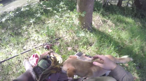 Fisherman plays with dog Stock Footage 67987065