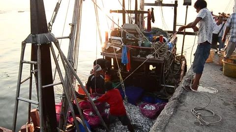 Fisherman pull basket of fish on 3 April 2015 in Sriracha, Chonburi, Thailand Stock Footage 48769902