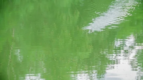 A fisherman is pulling a fish hook Stock Footage 112179001