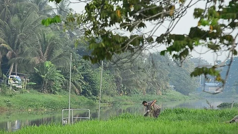Fisherman pulling fish net 스톡 동영상 93842993