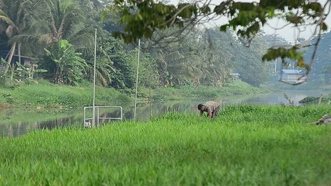 Fisherman pulling fish net Stock Footage 93843055