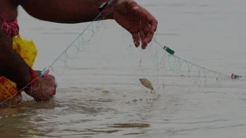 A fisherman is pulling fish out Stock Footage 314611735