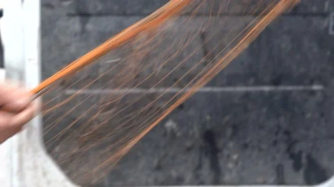 The fisherman is pulling fish out of the net Stock Footage 234618548