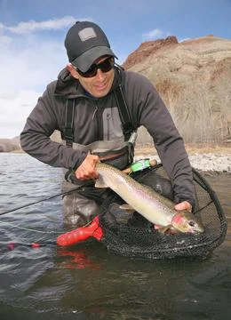 Fisherman pulling large trout out of net Stock Photos