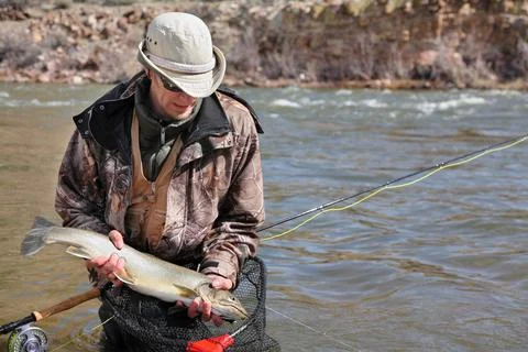 Fisherman pulling large trout out of net Stock Photos