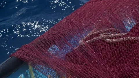 A fisherman pulling the net Stock Footage 161941079