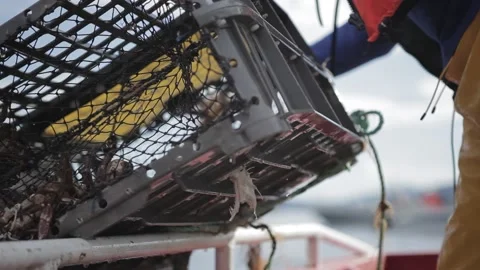 Fisherman pulling out of the sea  a cage with crabs Stock Footage 149657468