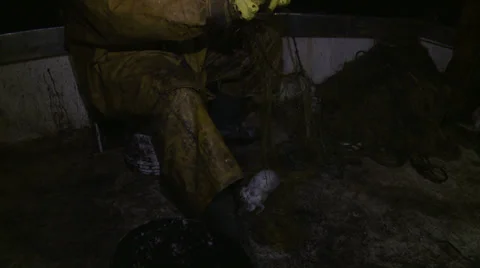 Fisherman pulls a fish from the net 1 Vídeos de archivo 23394157