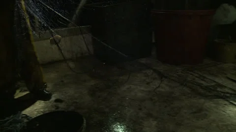 Fisherman pulls a fish from the net 5 Stock-Footage 23396599