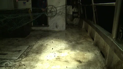 Fisherman pulls a fish from the net 6 Vídeos de archivo 23397444