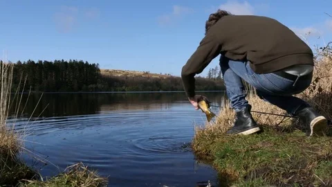 Fisherman pulls wild trout out of water Stock Footage 73526375