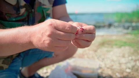 The fisherman puts the bait of the worm on the hook of the fishing rod Stock Footage 243835358